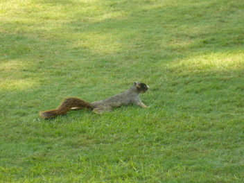2006-09-26 20-24-51.JPG